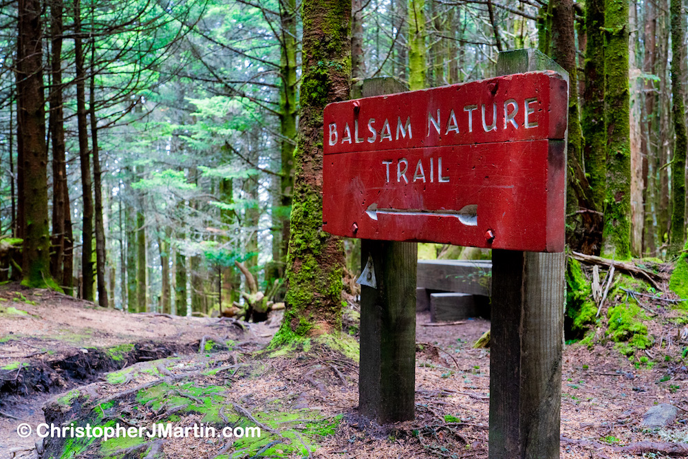 Balsam Trail, Mount Mitchell