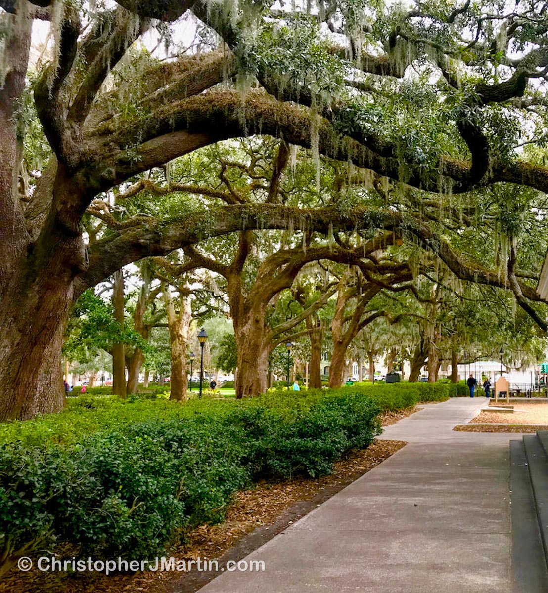 Savannah's Garden Squares