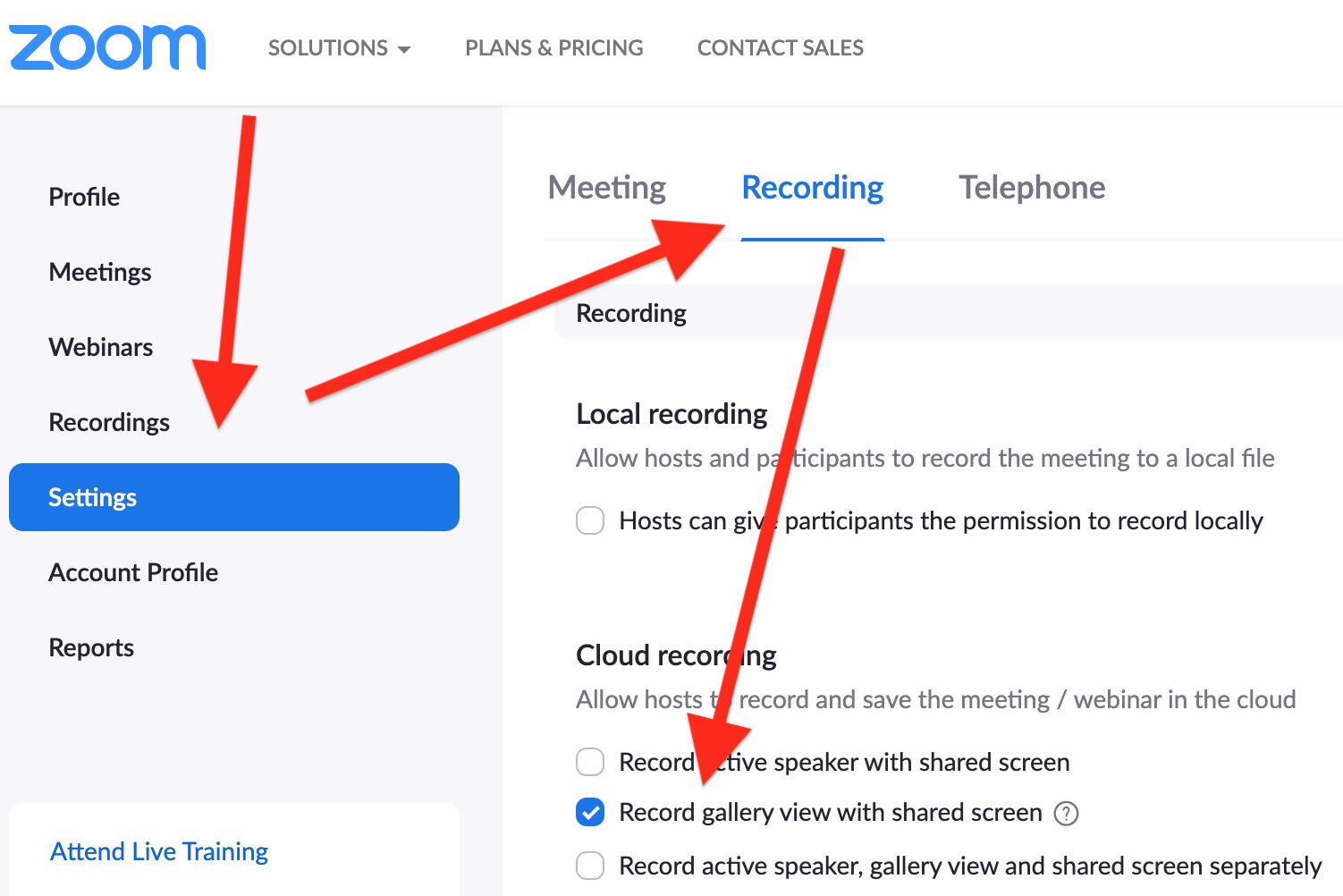 How to Record Zoom Gallery View instead of Active Speaker View