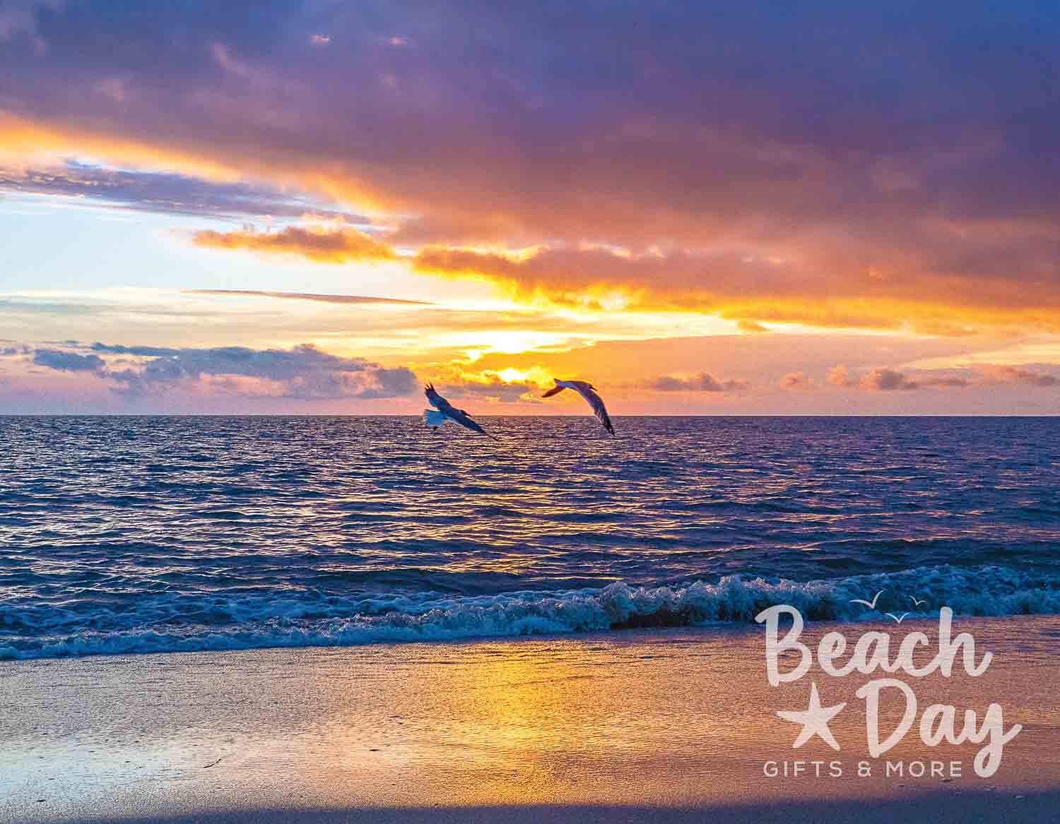 August: Two birds flying over the ocean beneath a dramatic Cape May sunset