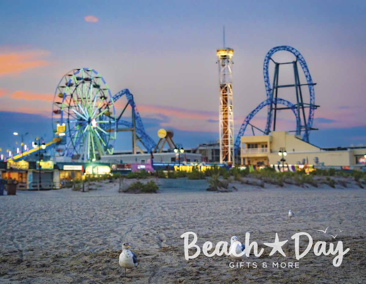 Seagull on the beach with Ocean City NJ Boardwalk amusement rides glowing at dusk