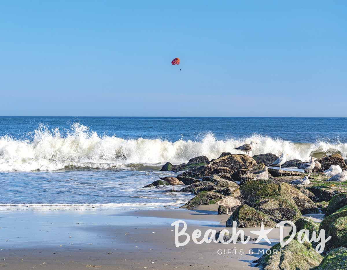 Seagulls resting on a rock jetty as waves break along the Ocean City NJ beach