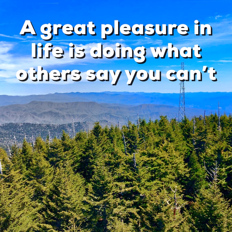 A Great Pleasure In Life Is Doing What Others Say You Can T Christopher J Martin