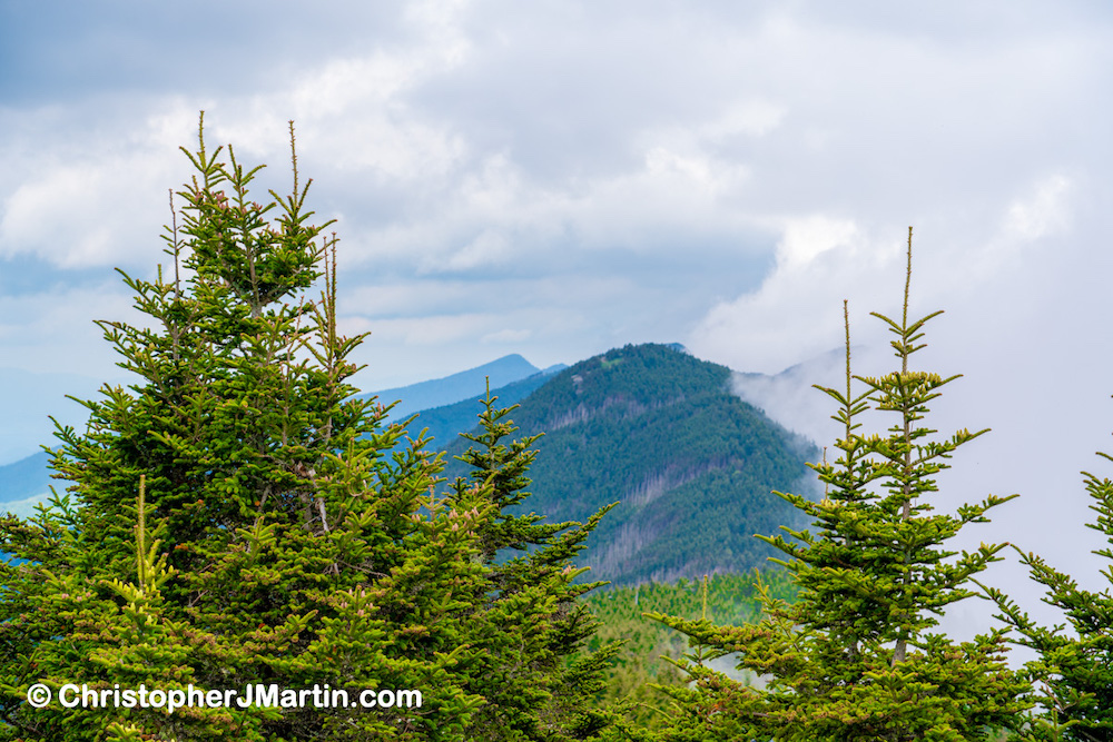 Mount Mitchell Summit