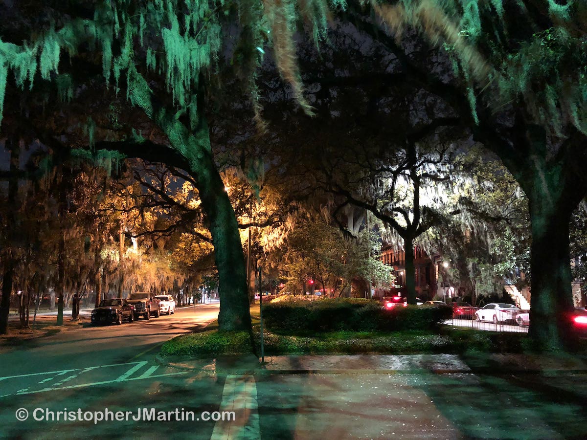 Savannah Spanish Moss and Squares